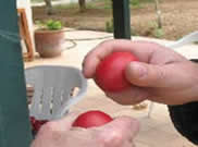 Which egg will crack?
